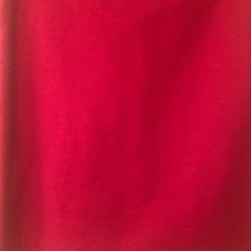 The Limited Deep Red Skirt size 2 - Picture 2 of 2